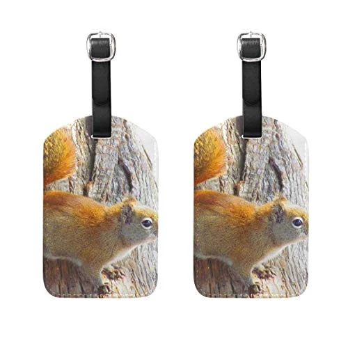 Luggage Tags Squirrel Animal Rodent Tree Womens Bag Suitcase Tags Holder traveling accessories 2